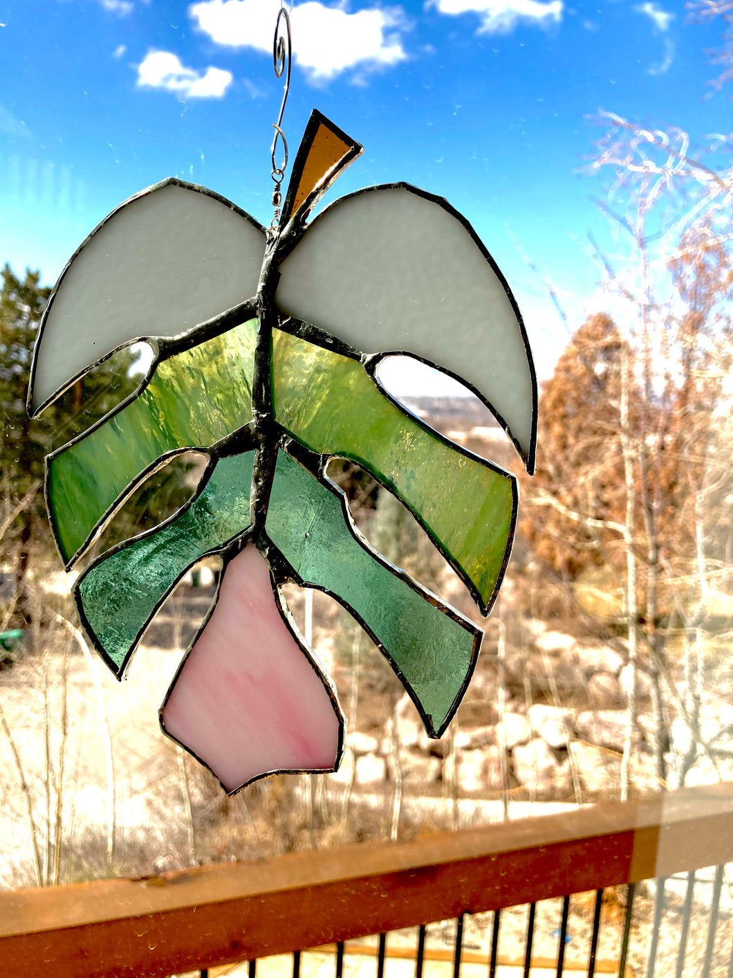 Monsterra Leaf
